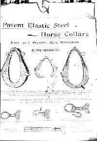 steel collar advertisement