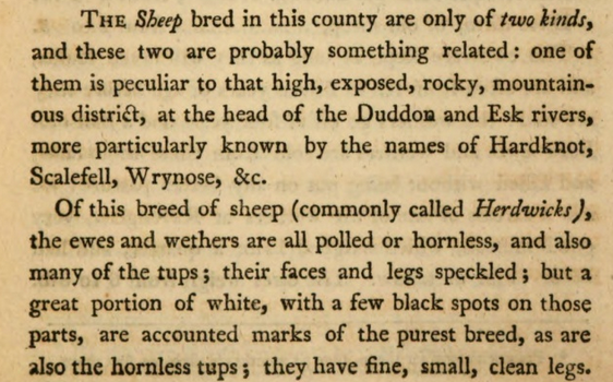 summary text: Of this breed of sheep, commonly called Herdwicks, the ewes and wethers are all polled or hornless, and also many of the tups; but a great portion of white, with a few black spots on faces and legs, are accounted marks of the purest breed; they have tine, small, clean legs.
