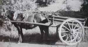 Fell mare and block cart