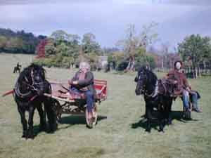 Two Fell ponies with flat carts