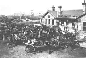 Farmers and horsedrawn floats waiting for the "milk train".