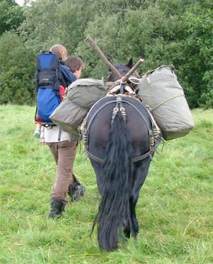 walking with a pack pony