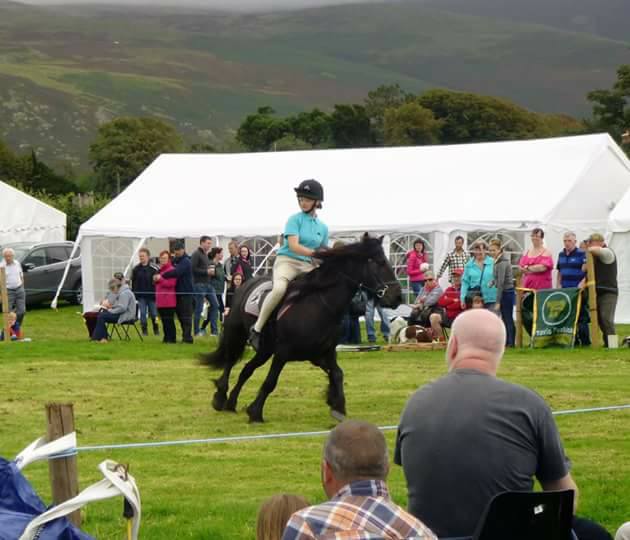 girl on a black pony galloping in an outdoor show ring