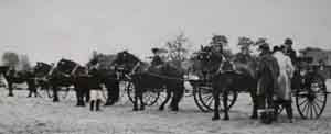 Fell ponies in show driving class