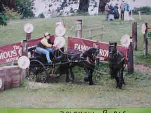 Tandem of Fells in combined driving