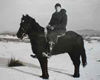 hunting in the snow on a Fell pony