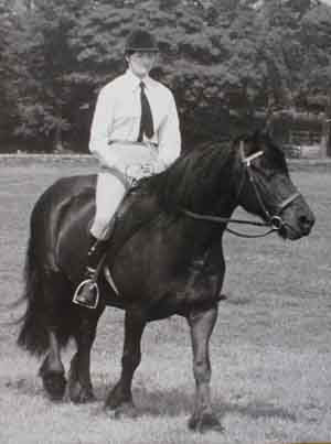 Ridden Fell gelding 1970s