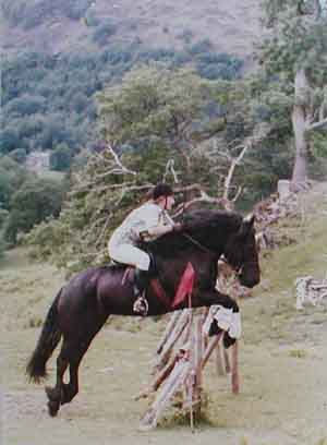 Fell pony jumping 