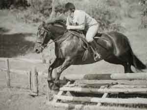 Fell pony jumping 