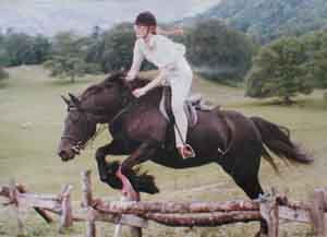 Fell pony jumping 