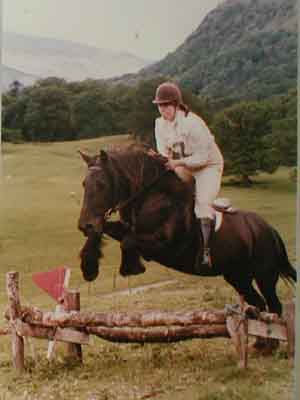 Fell pony jumping 