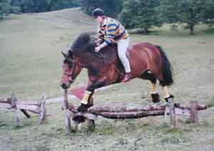 Fell pony jumping 